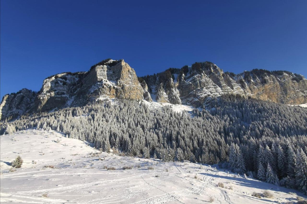 Appartement Lumineux Coeur De Station Thollon-les-Memises Kültér fotó
