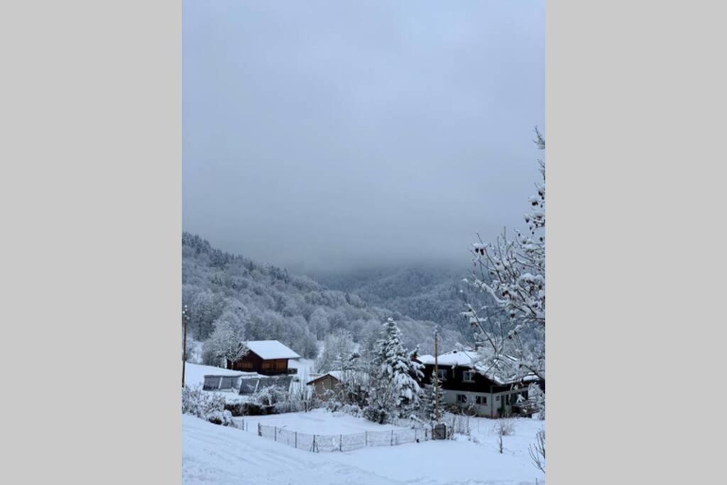 Appartement Lumineux Coeur De Station Thollon-les-Memises Kültér fotó
